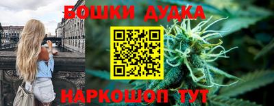 прущие грибы Краснокаменск