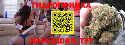прущие грибы Краснокаменск